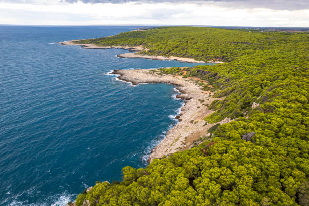 istock Beautiful summer coastline, drone view, Italy 2194195918