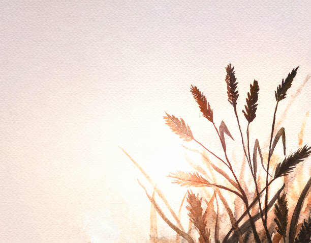 istock Sunset light shining through tall grasses in a tranquil landscape with soft colors and serene atmosphere 2194201146