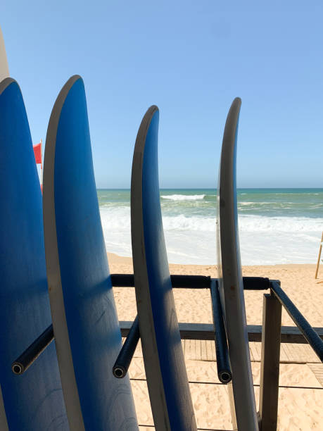 istock Surfboards lined up on a sandy beach with ocean waves in the background under a clear blue sky. 2194208158