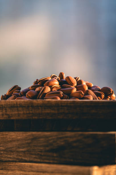 Pecan nuts in the nut shell, healthy food, vegan nutrions, having a snack