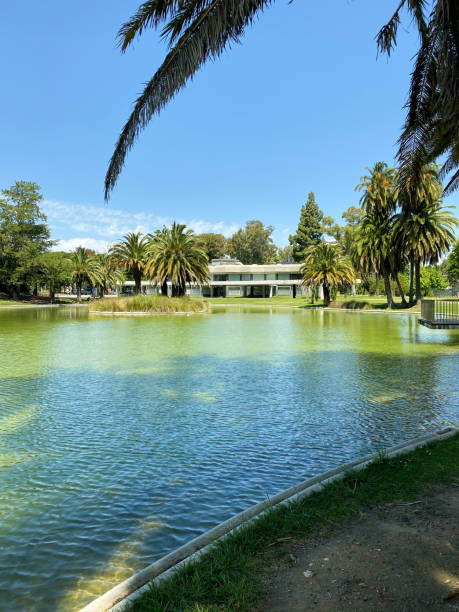 istock Calm lake with surrounding palm trees and modern building under clear blue sky. 2194214569