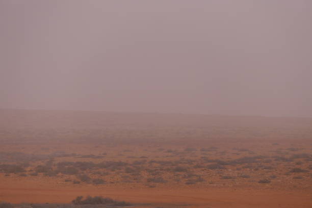 istock Calimay day: Fuerteventura, Canary islands 2194218302