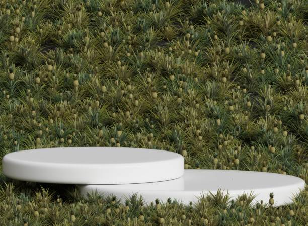 istock White Round Podium in Pineapple Field 2194221433