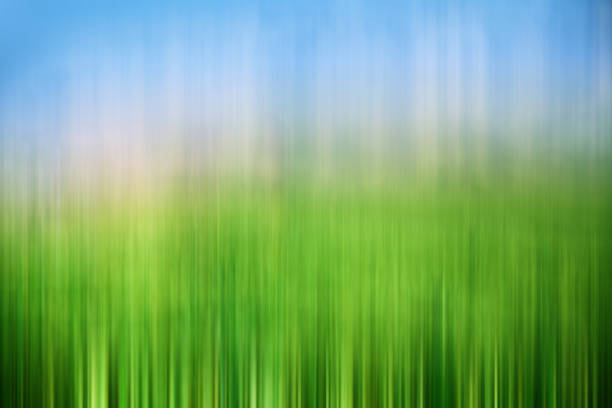 Abstract natural background green and blue shapes