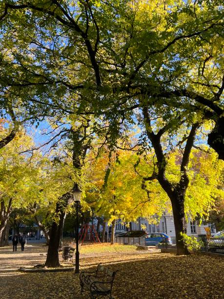 istock Autumn Trees with Yellow and Light Green Leaves 2194227926