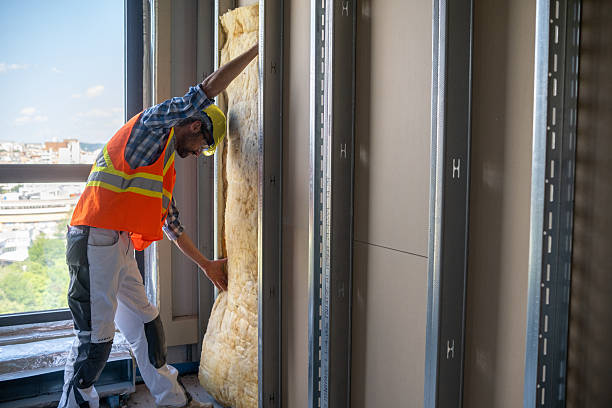 istock Drywall worker puts a mineral wool on the wall on a construction site. 2194229527