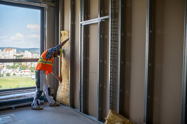 istock Drywall worker puts a mineral wool on the wall on a construction site. 2194229555