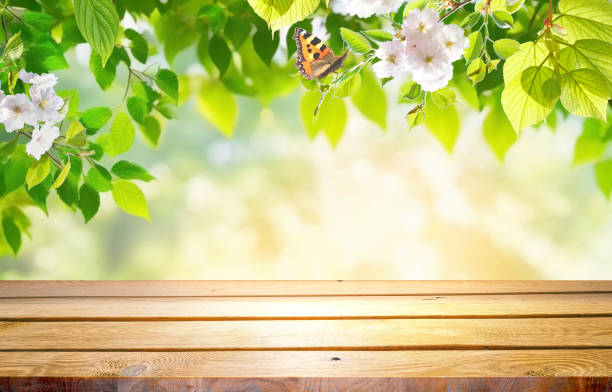 istock Original background image for presentation design with wooden base in the foreground. 2194231045