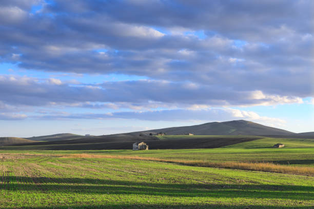 Hilly landscape with abandoned farmhouses.