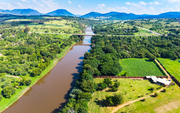 Agriculture seen along the Crocodile River in Broedertroom situated in the North West Province of South Africa. This river leads into Hartbeespoort Dam with a bridge on the R104 road crossing over the river.