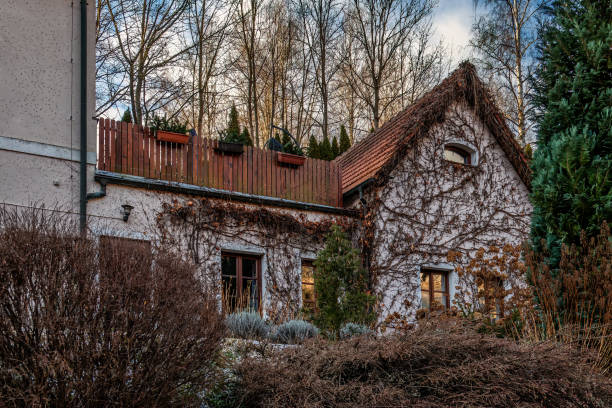 istock Rustic house with ivy-covered facade and garden 2194234997