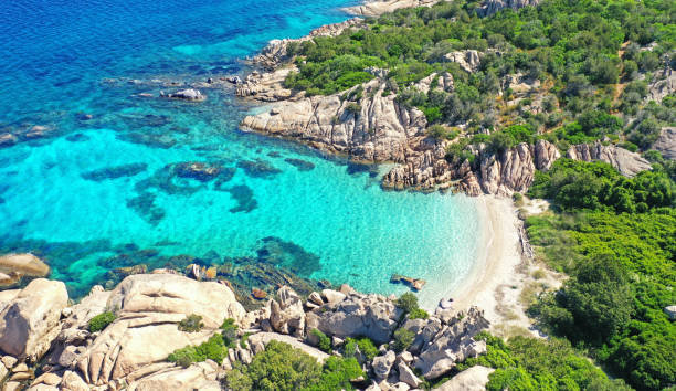 istock Spiaggia Delle Vacche, Cala Girgolu with pine trees and turquoise water 2194240545