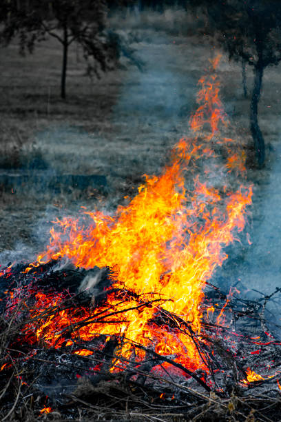 istock Aftermath of a Wildfire with Smoldering Ashes and Devastated Forest 2194240684
