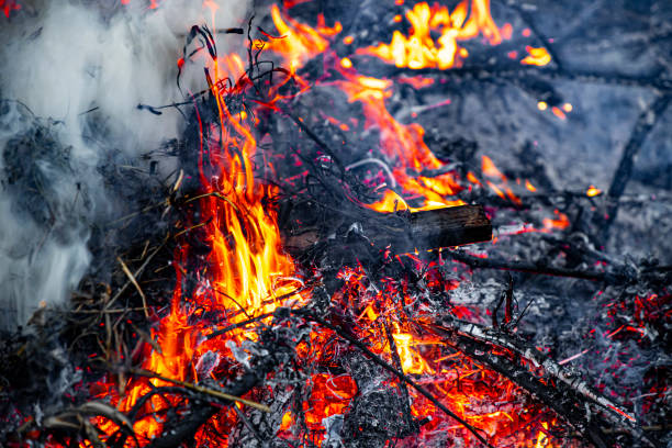 istock Aftermath of a Wildfire with Smoldering Ashes and Devastated Forest 2194242082