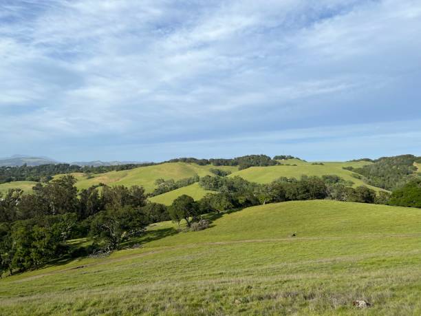 istock Taylor Mountain Regional Park, Sonoma County, California 2194242761