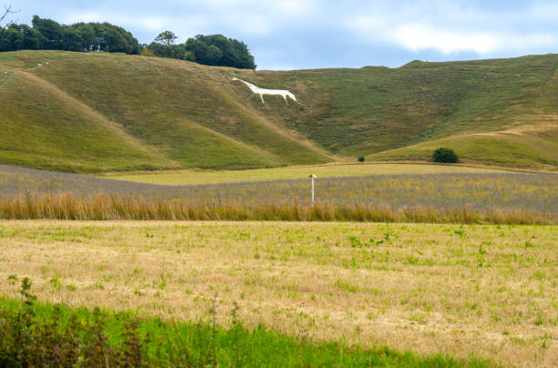 White horse monument on hilside at Cherhill in Wiltshire United Kingdom.