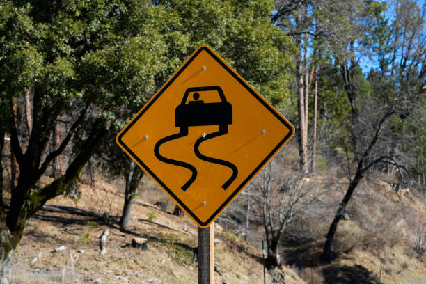 Slippery when wet highway road sign during dry conditions.   Sunny.  Forest backdrop.
