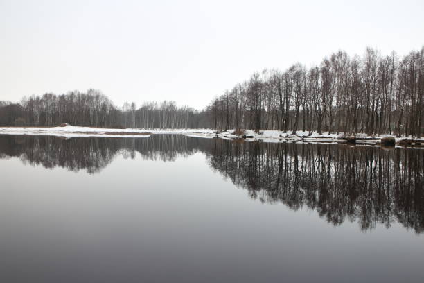 picturesque winter landscape, river, forest, sky mirror reflected in water