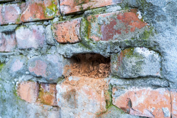 Free picture: wall, old, decay, bricks, close-up, dirty, mortar ...