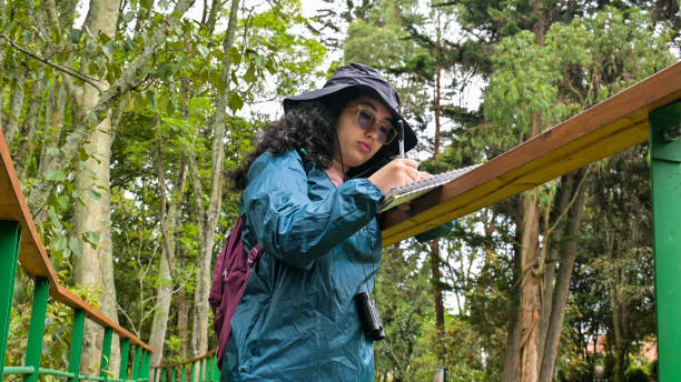 Sketching in a forest while enjoying the natural surroundings