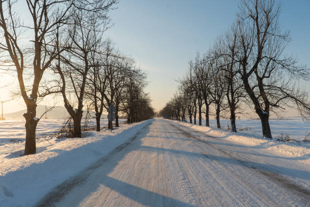 White snowy landscape after heavy snowfall in Overijssel during a cold winter day in The Netherlands.