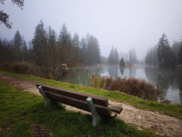 Serene landscape featuring a wooden bench overlooking a tranquil Lake Gaillands shrouded in mist, surrounded by colorful autumn foliage and pine trees