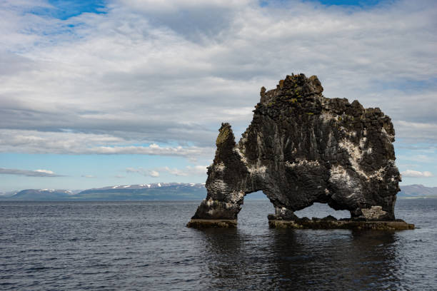 istock Hvitserkur Rhino Rock in Iceland 2194251151