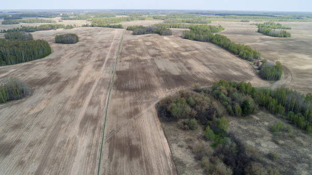 istock Large field with a few trees in the background 2194253304