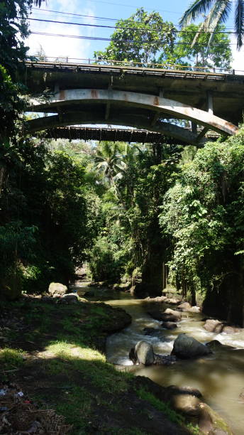 istock Ubud Bridge, Bali, Indonesia 2194254555