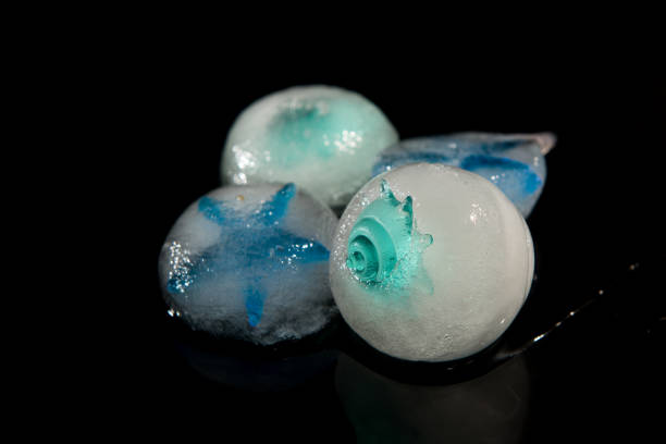 Studio shot of melting balls of ice with small sea related objects visible in the ice. The balls are presented on a reflective surface against a black background