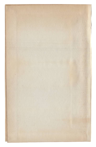 istock Vintage background of old ancient torn paper texture isolated 2194257720