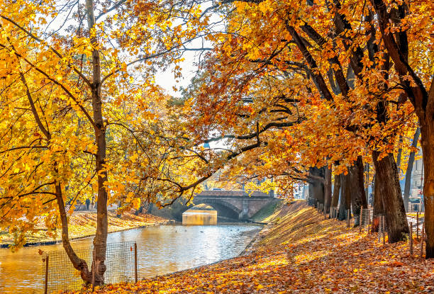 istock Old public garden park in autumn 2194261131