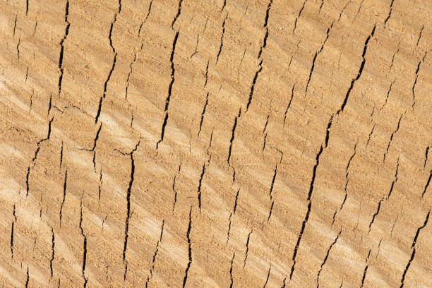 istock Simple wood background with cracks, close-up photo. 2194262561