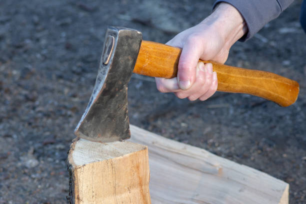 istock A lumberjack chops wood with an axe. A tool designed for chopping and hewing. Harvesting wood. 2194266505