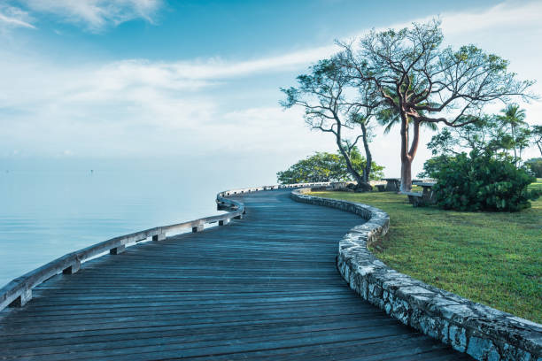 biscayne national park florida usa boardwalk - baía de biscayne imagens e fotografias de stock