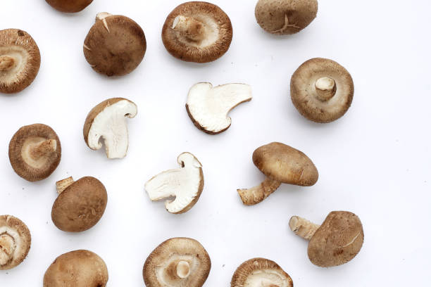 istock Fresh shiitake mushrooms on white background. 2194279867