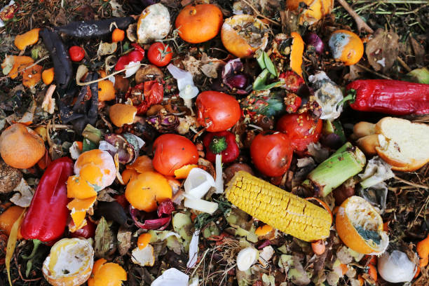 istock Discarded and spoiled food in a garbage heap 2194282159