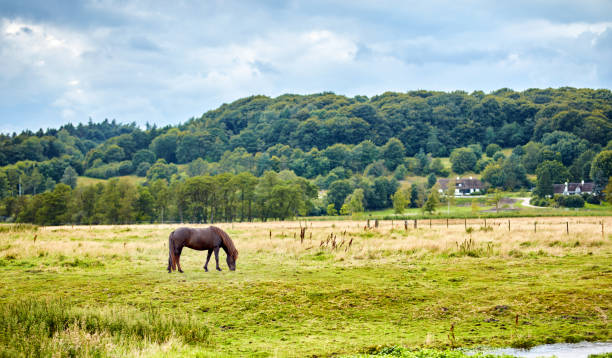 A short hike on the Höhenweg trail in the town of Schmalkalden with typical April weather - Thuringia - Germany