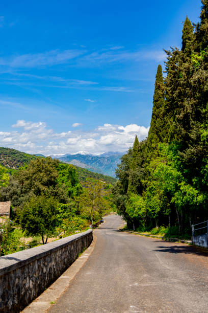 istock Verdant Nature in Cassino, Italy 2194288973