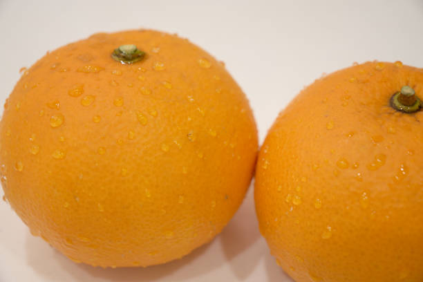 Two fresh tangerines with water droplets.