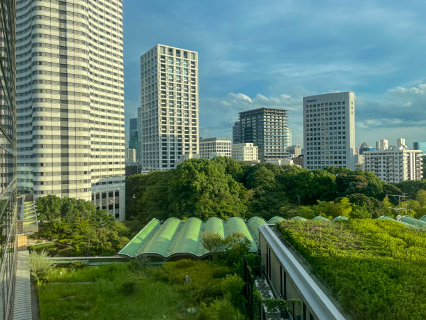 View of Downtown Tokyo