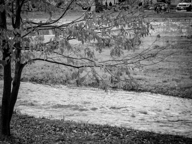 a simple black and white image standing on a riverbank