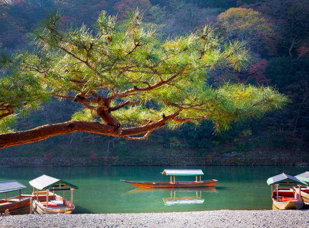 Japan, Kyoto, Arashiyama district.  tour boat on river.