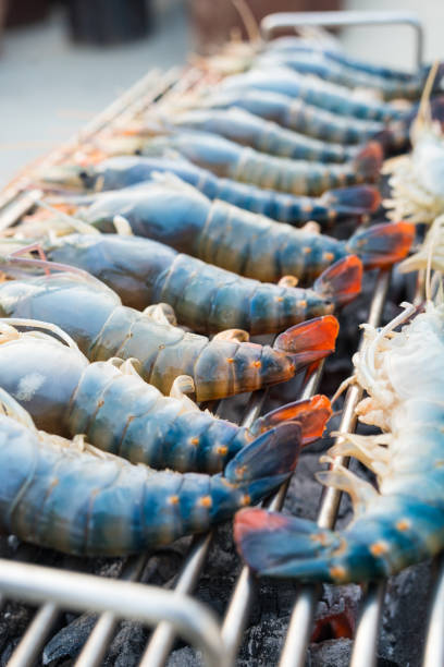 Fresh river prawn grilled on Charcoal stove. Local food. Cooking at home.