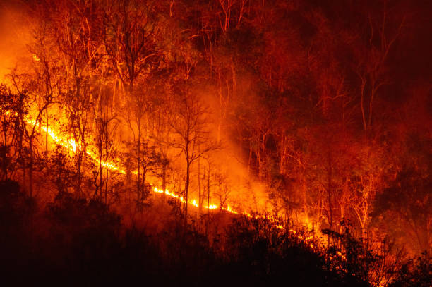 istock Wildfires destroy and cause air pollution. 2194313139