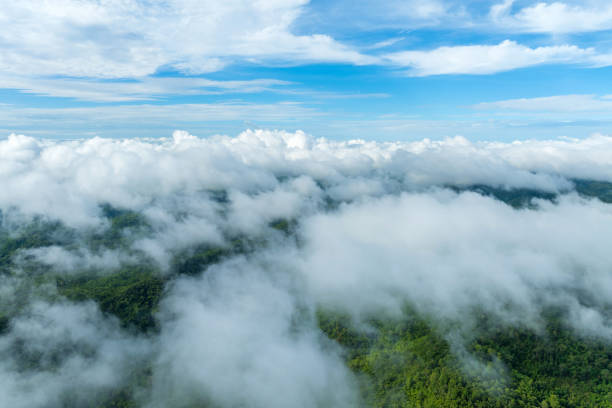 istock High mountain scenery, misted in the morning. 2194313198