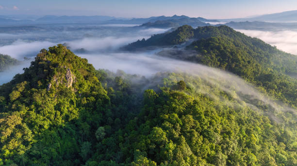 Beautiful flowing fog, with clouds above the mountain.