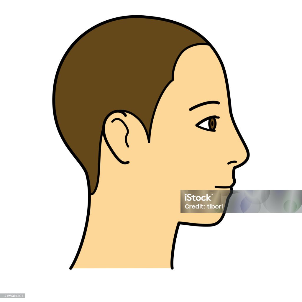 Side View Head Model Human Head Model Shaved Head Outline Side View Facing Right Vector File ...