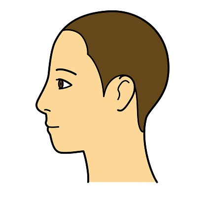 Side View Head Model Human Head Model Shaved Head Outline Side View Facing Left Vector File ...