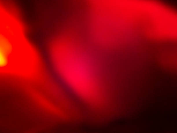 istock Backgrund summer red overlay abstract summer sun shadow leaf white gradient color blur room cement floor wall backdrop mockup product beauty cosmetic presentation minimal empty card tropical. 2194318764